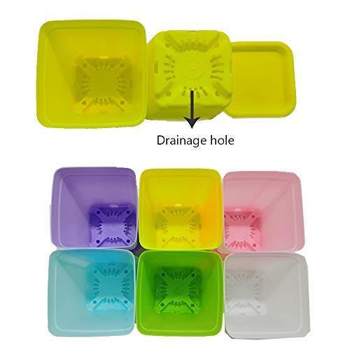 24 Pack Colorful Flower Pots Square Plastic Plant Pots Succulent Planter Nursery Pots With Saucers For Your Room,Garden Office And Balcony Decor #TOP3