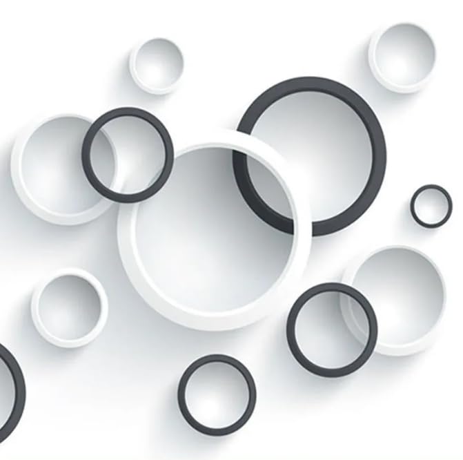 Papier peint mural moderne cercles 3D noir et blanc premium - 3