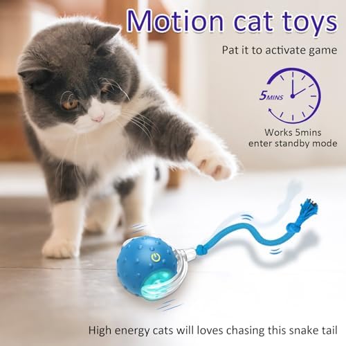 Interactive Cat Toys Ball for Indoor Cats Fast Rolling — top-down angle highlighting key features