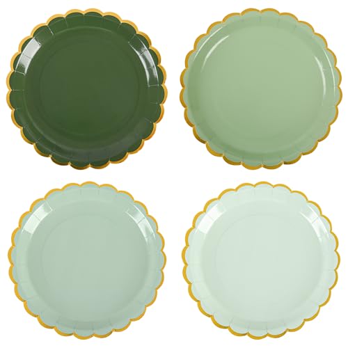 AimFun 24Pcs Sage Green Gold Scalloped Paper...