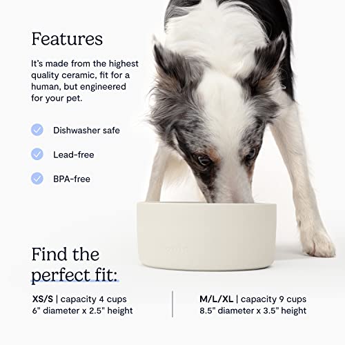 Fable Ceramic Dog Bowl - Weighted Ceramic Dog Bowl Prevents Sliding - Dual Textured Dog Ceramic Bowl - Modern Ceramic Dog Water Bowl - Food-Safe Ceramic Puppy Bowls - Tofu - Xs/S #TOP3