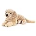 Produktbild Plüsch & Company & company15868 45 cm Hunde Golden Retriever Goldy Plüsch Spielzeug
