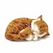 Perfect Petzzz Orange Tabby Soft Toy