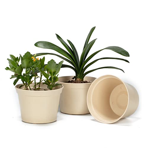 vootun Blumentopf 3er-Set Übertopf aus Kunststoff 20cm ,Rund Plastik Pflanzentopf Pflanzkübel mit Mehrere Ablauflöchern Blumentöpfe für Innen und Außenbereich Kräutertopf Sukkulenten Kaktus,Beige Cover