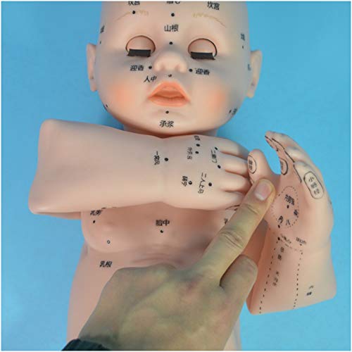 FHUILI Modèle de poupée d'acupuncture - Modèle de Massage pédiatrique - Meridiens Corps Modèle de Massage avec Point d'acupuncture - Médecine Chinoise Meridiens Meridiens Massage Massage Massage,A