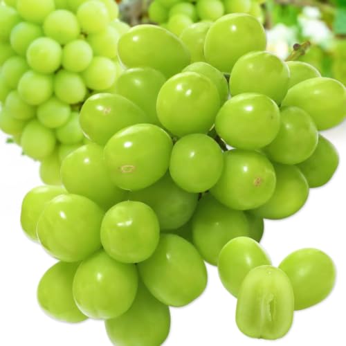 [Amazon.co.jp限定]訳あり 晴れの国わんぱくマスカット 1.2kg[9月中旬-11月中旬頃出荷]岡山県 備前市 ぶどう 葡萄 ご家庭用