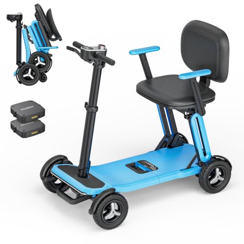 PAISEEC L5 Folding Scooter