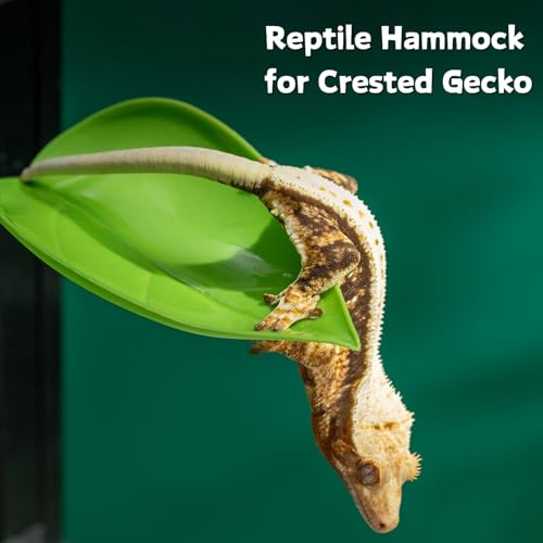 SEZDEKI Rede de répteis com ventosas cama suspensa de folha de plástico para lagartixa com crista la