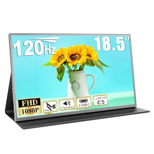 COOLHOOD 18.5" Travel Monitor