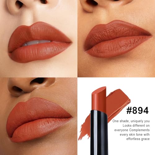 Image of evpct Brick Red Velvet Matte Lipstick, High Pigmented Slim Lipstick Long Lasting Waterproof for Women Gift, Velvet Silky Lip Stick Stain Color Makeup Blendable 24 Hours Original Makeup Labiales, 894#