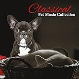 The Seasons No. 6 in G Minor, Op. 37a ”June: Barcarolle”: VI. Andante cantabile (Harp Version)