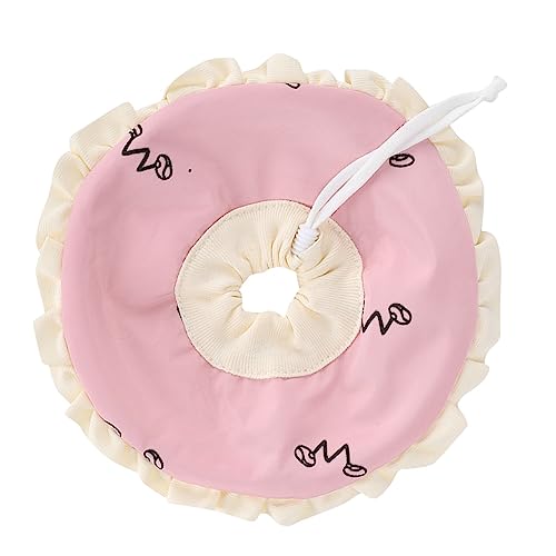 - Error - Error de conversión: Error de solicitud de API: HTTPSConnectionPool(... - 确定 -