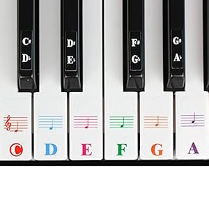 maxin Piano Keyboard Stickers voor 88/61/54/49/37 Key,Transparante Verwijderbare Piano Stickers voor Beginners Kids Kleurrijke Grote Brief Piano Stickers Perfect voor Beginners Kinderen Leren Piano