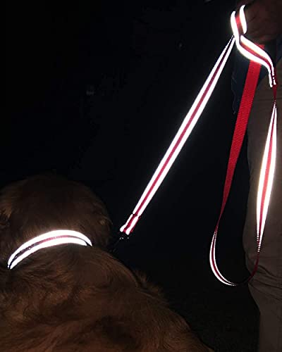 Joytale Reflective Neoprene Padded Dog Collar and Leash Set #TOP19