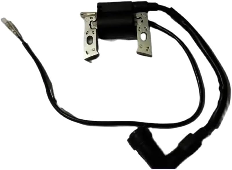 Ignition Coil Magneto Fit for 2500 3000 3750 Watts 2.5K 3K 3.75K