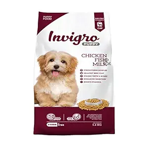 INVIGRO Puppy Chicken Fish Milk Dry Dog Food - (1.2 KG)