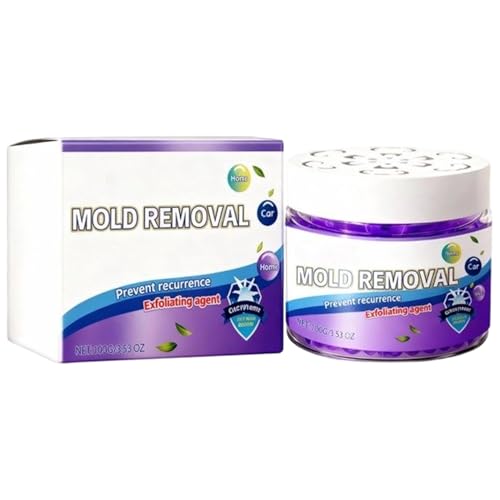 Air Purifiers – 100 g, Compact Gentle, Odor Remover Box | Olor Absorber, Portable Design, Effective Dust And Smell Control For Apartment, Garage, Nursery, Closet, Dormitory