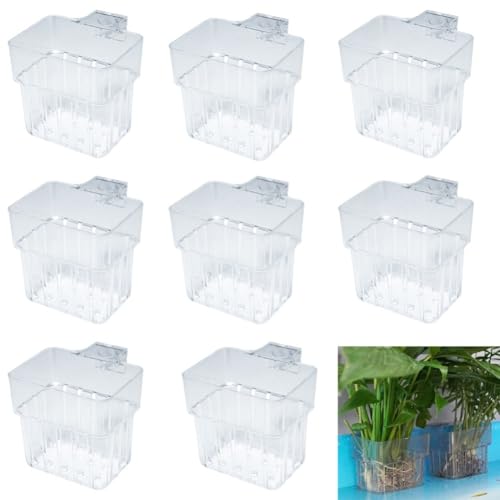 Lawnoval Lot de 8 supports de plantes d'aquarium transparents avec crochet de suspension, pour panier de plantes en plastique pour aquarium et culture de plantes aquaponiques pour un