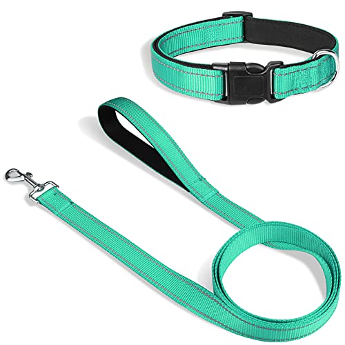 Joytale 12-16 inches Dog Collar and 6FT Leash, Reflective Soft Neoprene Padded Pet Collars and Leashes for Small Dog
