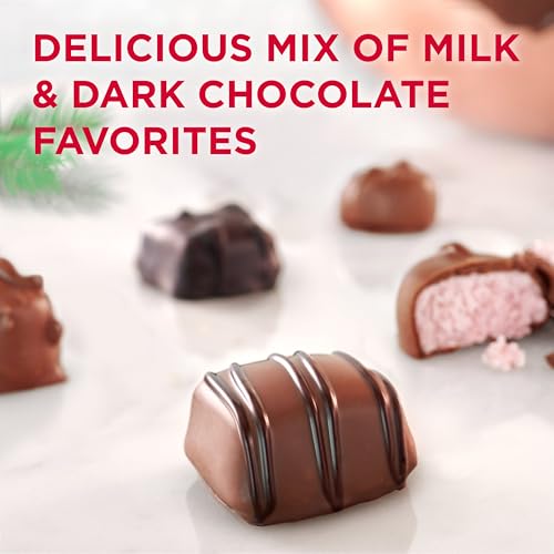 RUSSELL STOVER Christmas Assorted Milk & Dark Chocolate Candy Santa Gift Tin, 10 oz. - Thumbnail 5