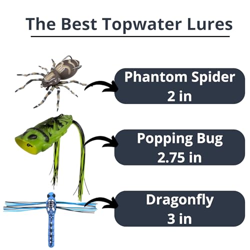 LUNKERHUNT Top Water Fishing Lures | Baits for Bass Fishing | Realistic Fishing Bait with Resistent Skirts | Weedless bass Fishing Lures for Freshwater and Saltwater | Easy to Use. (Bug Combo) - Thumbnail 2