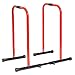 WEELOLOE Dip Station Functional Heavy Duty Dip Stands Fitness Workout Dip Bar Station
