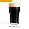 Craft A Brew - Irish Stout - Beer Making Kit - Make Your Own Craft Beer - Complete Equipment and Supplies - Starter Home Brewing Kit - 1 Gallon #1