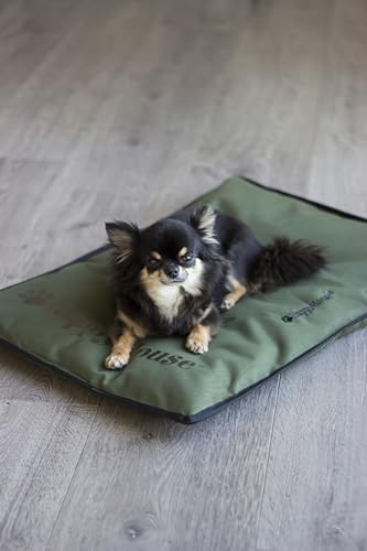 Couverture Happy-House Strong M vert foncé pour chien - 4