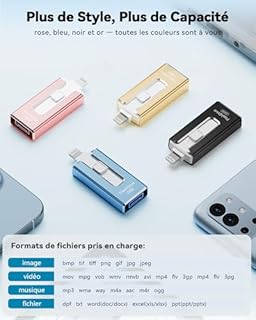 SUDEHO Cle USB 256 Go, Clé USB iPhone MFI Certifié, 4 en 1 Clef pour iPhone/Android/Type C et PC, Cle USB C Photo Stick Mémoire Externe pour Stockage Photos, Vidéos, Fichiers(Bleu)