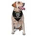 US Special Forces Insignia Triangle Dog Bandana Scarf Accessories for Pet Bibs