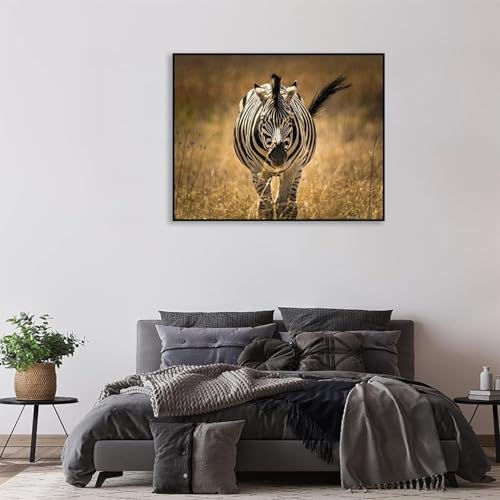 Impression sur Toile Zèbre Premium Finition Cadre Noir - 5