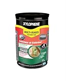 XYLOPHENE   Traitement Multi usages Intérieur et Extérieur   Pour les Zones Difficiles d'Accès   Élimine Insectes et Termites   Formule renforcée en fongicide   Séchage rapide   1L   Incolore