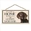 German Shorthair