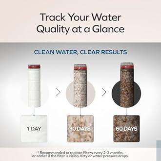 EZWELL Visible Filtered Shower Head with High Pressure Rain-NSF Certificated-Korea| Filtration System, Removes Micro Substances | - Good for Dry Skin & Hair, RV, Bathroom - Easy Install