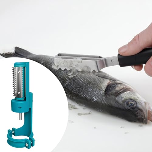 Écailleur à poisson électrique anti projections pour vider et écailler