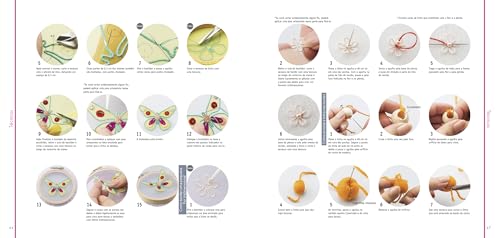 Bordar com cores: 27 projetos para trabalhar com bastidor