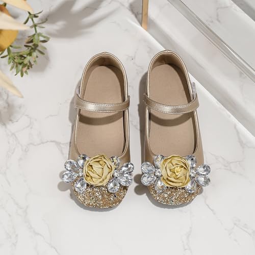 IWIHMIV Toddler Girls Dress Low Chunky Heel Shoes Flower Girls Mary Jane Flat Leather Shoes for Party Wedding3