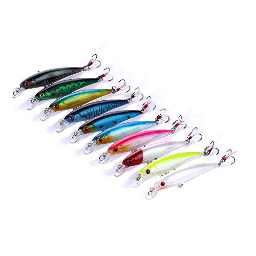 Kit de 10 señuelos de pesca con ojos 3D – cebos duros y cebos para lubina, trucha, agua salada y agua dulce, juego de cebo de agua superior para pescadores