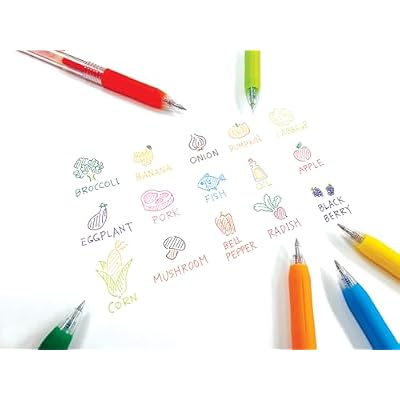 Zebra Pen Sarasa Clip Retractable Gel Pen, 0.5mm Fine Point, Rainbow Assorted Vibrant Ink Colors, Water Based, Ideal for Office and School, Journal, Note Taking and Planner Use, 12-Pack (44100)