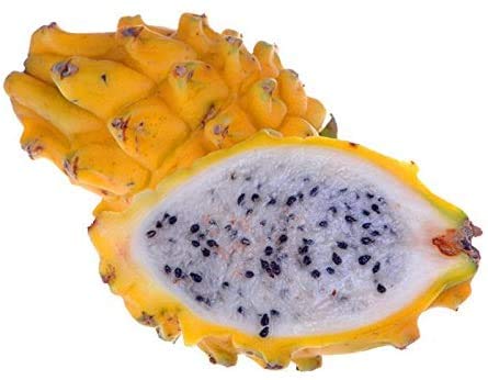 Yellow Sweet Dragon Fruit Var. “Palora”, Pitaya Selenicereus M. Seeds 50/100 Seeds (100) #TOP1