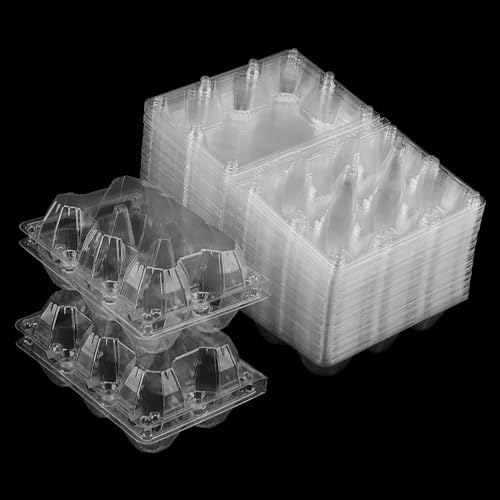 LEXININ 100 Cartoni per Uova in plastica, Cartoni Trasparenti per Uova contengono 6 Uova, Scatola per Uova in plastica per Esposizione sul Mercato Domestico