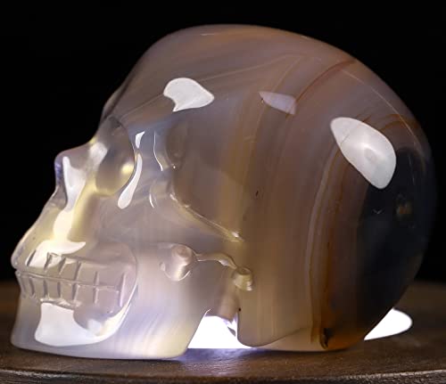 Skullis 2.0" Agate Crystal Skull, Hand Carved Gemstone Fine Art Sculpture, Reiki Healing Stone Statue.1397 #TOP1