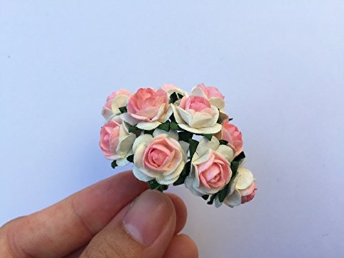 100 Pcs Mini Roses White Color 15 Mm Mini Paper Flowers Mulberry Paper Flowers Scrapbooking Embellishment Wedding Card Supplies Mini Paper Roses White (Pink Blush) #TOP4
