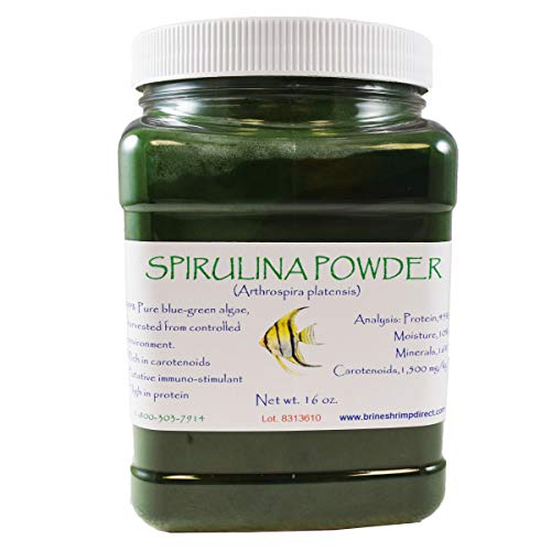Brine Shrimp Direct Spirulina Powder, 16 oz