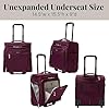 Baggallini Expandable Underseat Carry-On
