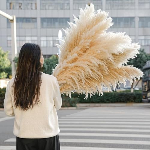 Vilomパンパスグラス造花10本セット 大きめ自然な乾燥風 ふわふわボリューム 床花瓶詰め物に最適 リビングインテリア ボヘミアンスタイル 結婚式装飾 DIY花束 穂物アレンジ 写真撮影小道具 ナチュラル雰囲気作り 長期間型崩れなし 家庭用インテリア装飾 (ガマの綿毛の長さは70～80cm（全長140cm）-10個) [5]