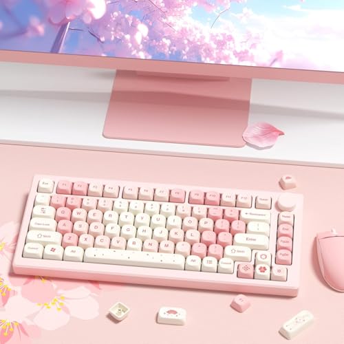 Keycaps PBT Sakura pour clavier mécanique Cherry MX profil MOA rose
