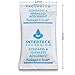 INTERTECK PACKAGING 1 Gram Silica Gel Packets - Rechargeable Desiccant Packets and Dehumidifiers (Non-Indicating, Tyvek 1,000 Pack)