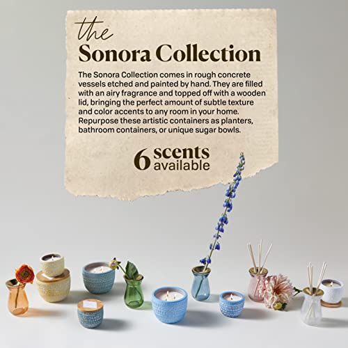 Paddywax Sonora Collection Scented Candle, 10 Oz, Wisteria And Willow #TOP3