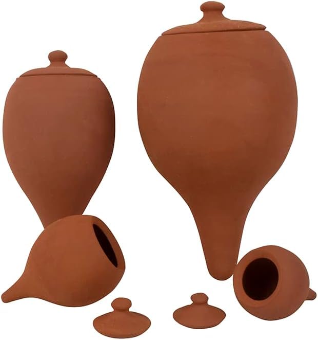 Pot d'arrosage Onland 700 ML x2 pour plantes d'intérieur et fleurs de balcon